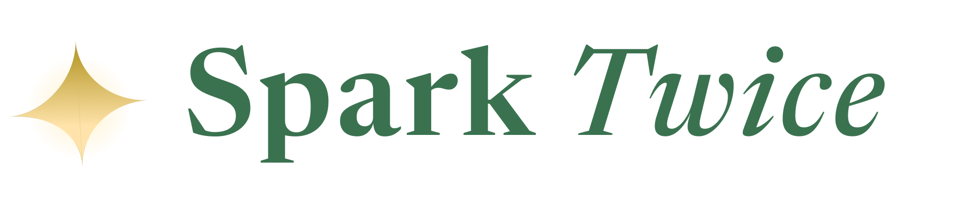 Spark Twice horizontal logo